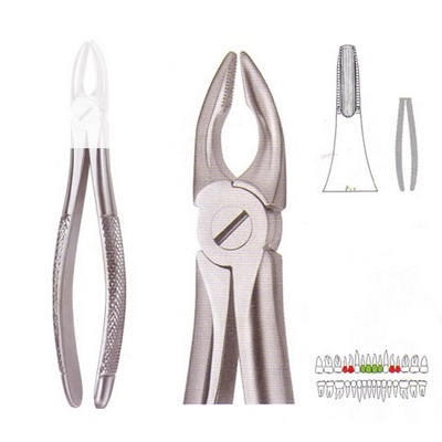 Extracting Forceps